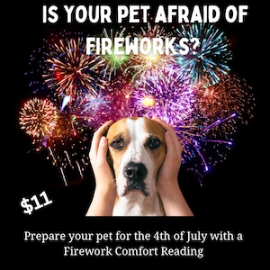 Fourth of July Firework Comfort Reading for Pets, dogs cats birds, Independance day calming reassurance telepathic animal communication