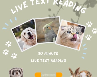 30 Minute Live TEXT Psychic Reading for All Reading Types. Living and Past Pets, Spirit Medium Connections, Psychic Guidance.