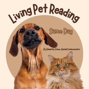 May include: A brown and tan dog and a ginger cat looking at the camera. The image is a logo for a pet reading service called "Living Pet Reading Same Day" by Samantha Jones, Animal Communicator.