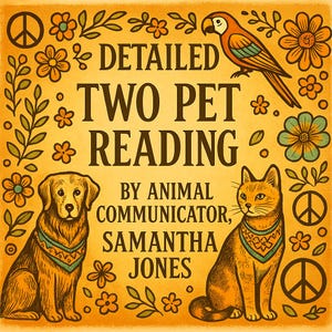 Psykisk läsning för två husdjur. Levande eller överlevande. Detaljerad djurkommunikation (digital nedladdning)