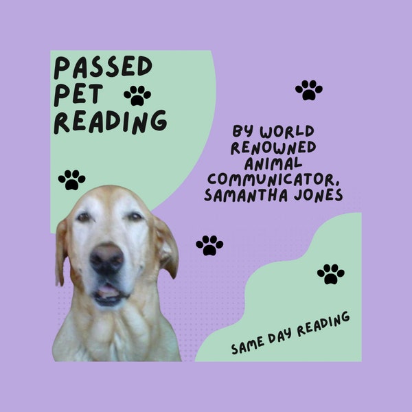 Talk to your pet at the Rainbow Bridge Psychic Reading Passed Animals, Is My Pet OK, Who Are They With, Do they know I love them, dog cat