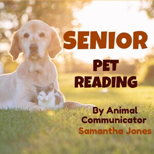 May include: A golden retriever dog and a white and gray cat are lying in a grassy field. The text "SENIOR PET READING" is in brown letters on a white background. Below the text is "By Animal Communicator Samantha Jones" in brown letters on a white background.