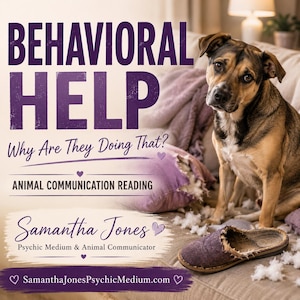 Behavioral Help Pet Psychic Reading. Understand Your Pet’s Behavior & Needs. ALL Species Welcome. Animal Communication Reading. Digital PDF.