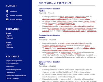 Modern Sleek Resume / CV Template - MS Word and Apple Pages compatible