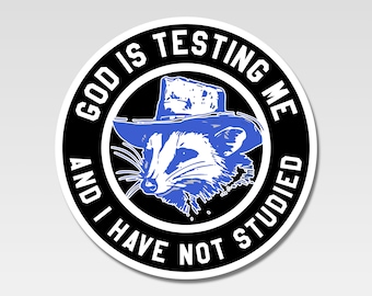 God Is Testing Me And I Have Not Studied Funny Car Meme Sticker Decal
