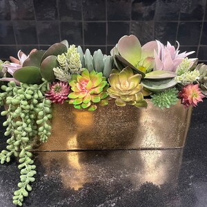 May include: A gold planter filled with a variety of green succulents, including a trailing succulent.