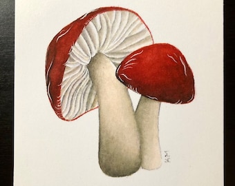 Pilz - Rot