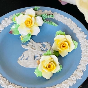 Jaren 60 Royal Adderley porseleinen roos sieradenset: vintage bloemenbroche en clipoorbellen