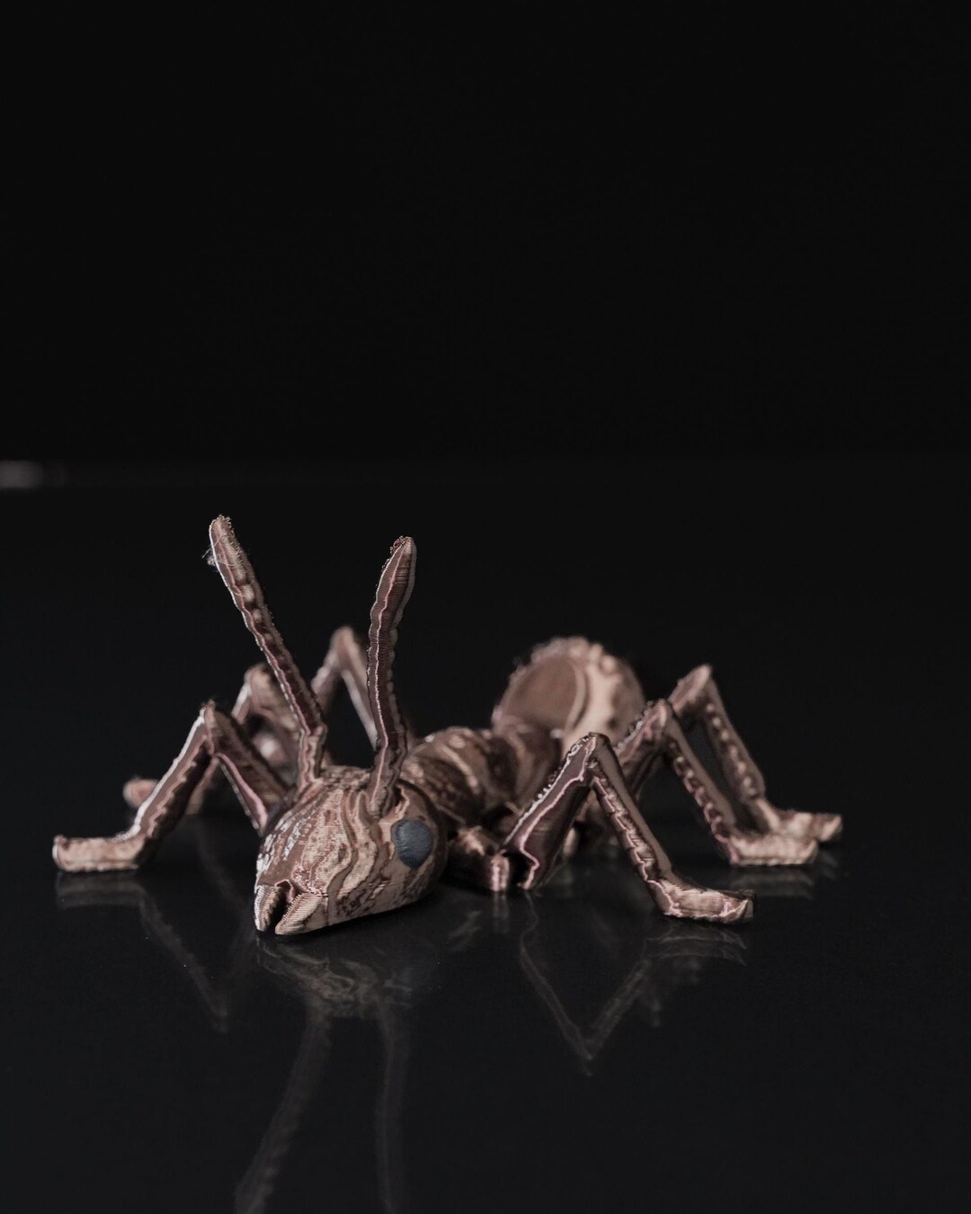 Flexi Ant. Great for Kids That Love Bugs and Insects. Giant ...