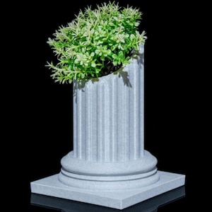 Puede incluir: Un macetero de cerámica blanca con forma de columna romana rota con una planta verde frondosa que crece desde la parte superior.