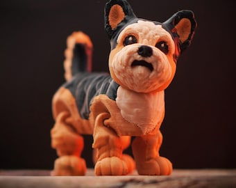 Flexi Yorkie