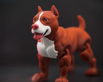 Flexi Pitbull