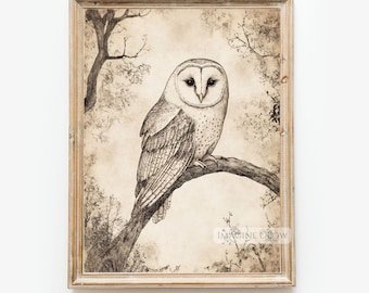 Impression d'art vintage esquisse de hibou : décoration murale d'oiseau rustique (téléchargement numérique)