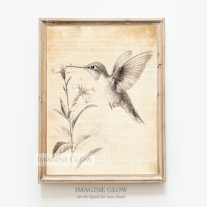 Impresión de boceto de colibrí - Arte mural de primavera con boceto de pájaro - Impresión vintage de primavera - Póster de pájaros - Obra de arte inspirada en la naturaleza para la decoración del hogar