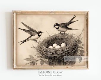 Impression d'art antique nid d'hirondelle : illustration vintage d'oiseau (téléchargement numérique)