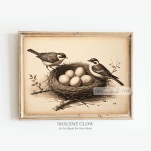 A Bird Nest with eggs Vintage Art Print Bird Wall Art Antique Bird Print Rustic Farmhouse Spring Art Printable Wall Art
