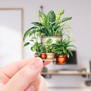 amante de las plantas de la casa Adorable regalo de amante de las plantas de la casa pegatina transparente para entusiastas de la jardinería regalo de jardinero pegatina de elaboración de regalos de plantas