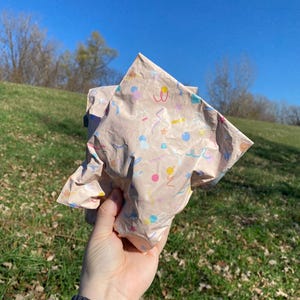 Small Mystery Bag