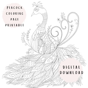 Hoja para colorear de pavo real descargable, impresión de arte floral, página para colorear para adultos, inspirada en la naturaleza, obras de arte caprichosas, arte de garabatos, impresión de arte animal