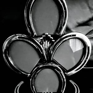 Stunning Horseshoe Picture Frame