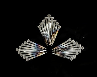 Hoefijzernagel haarspeldje, set van 3"