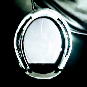 Awesome Single Photo Horseshoe Picture Frame