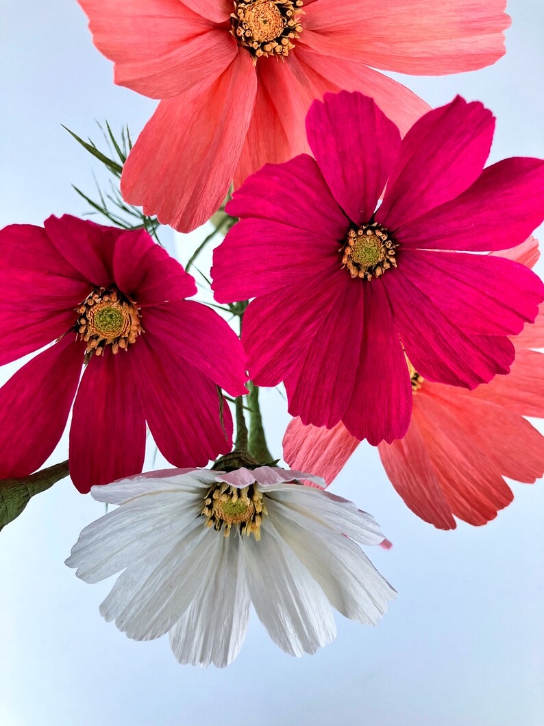 Handcrafted Crepe Paper Cosmos Flowers Vibrant Blooms for Thoughtful