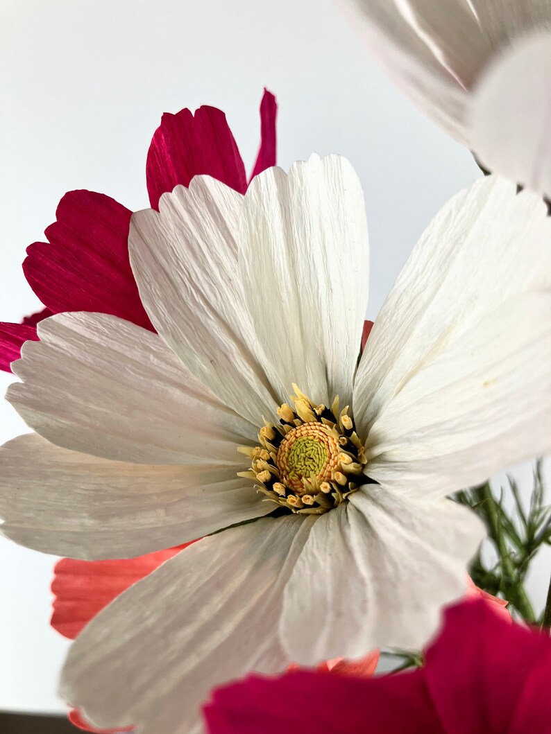 Handcrafted Crepe Paper Cosmos Flowers Vibrant Blooms for Thoughtful