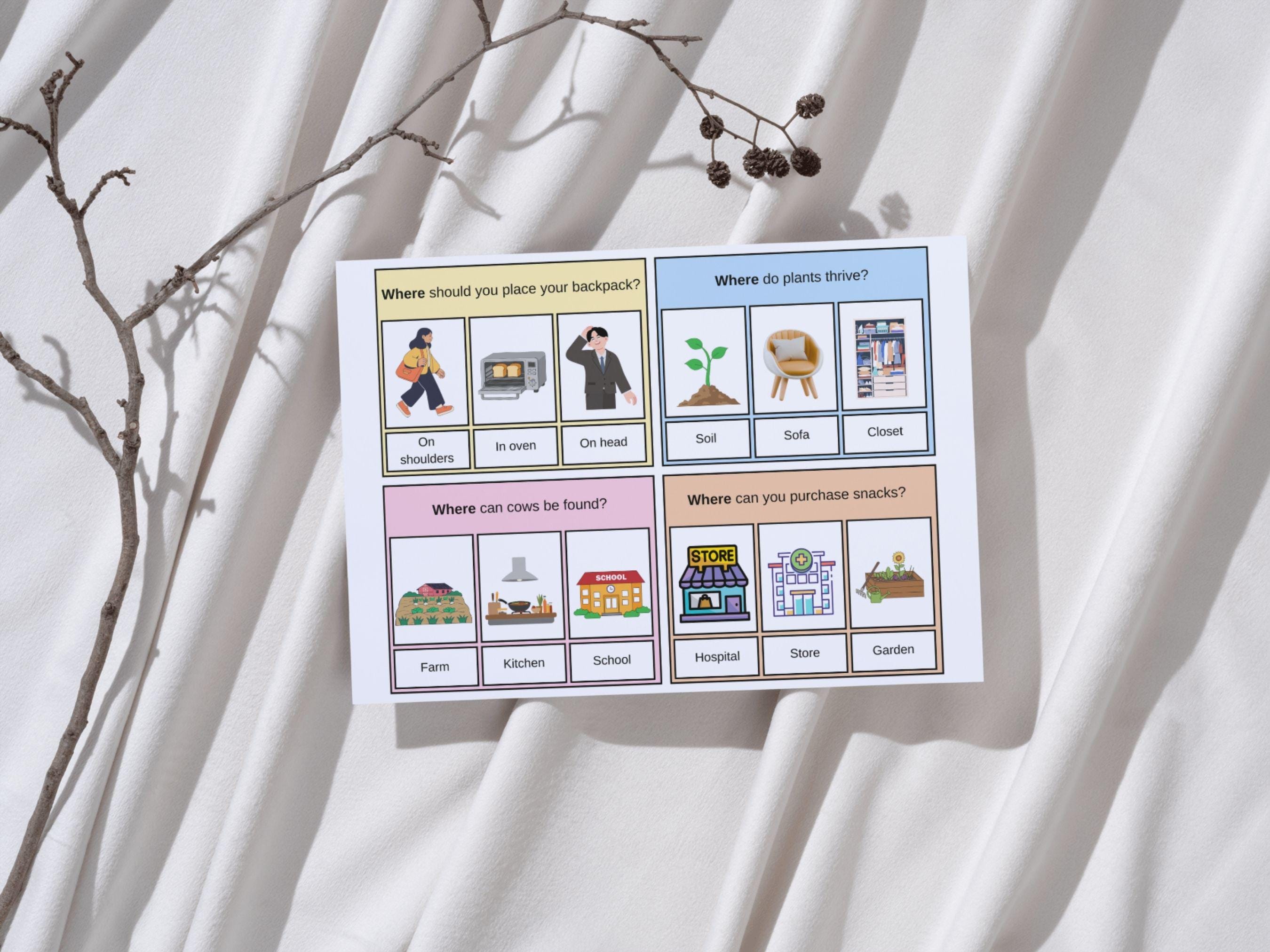 100 WH Question Flash Cards | Printable Language Task Cards | WH ...
