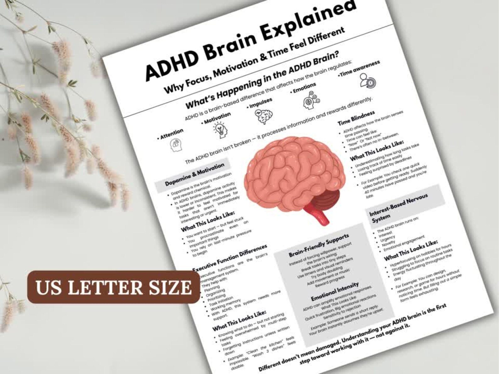 ADHD Brain Explained Cheat Sheet, Neurodiversity Education Printable ...