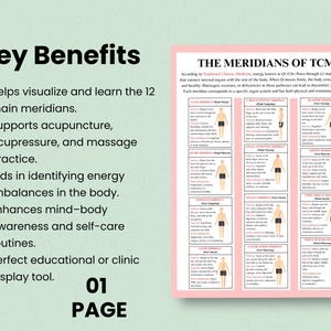 Acupuncture reference poster showing all major meridians