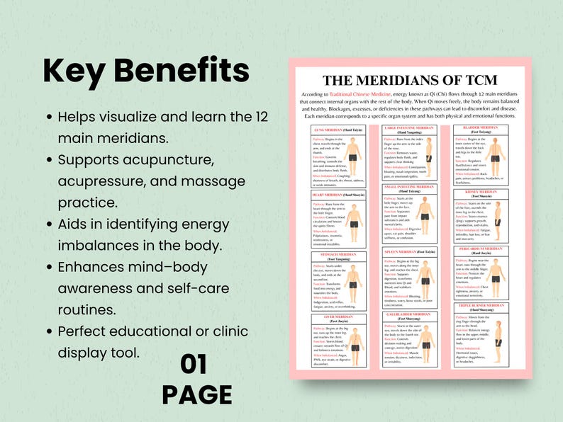 Acupuncture reference poster showing all major meridians