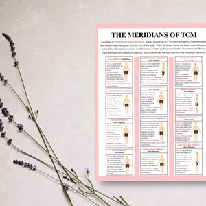 TCM acupressure diagram for study and practice