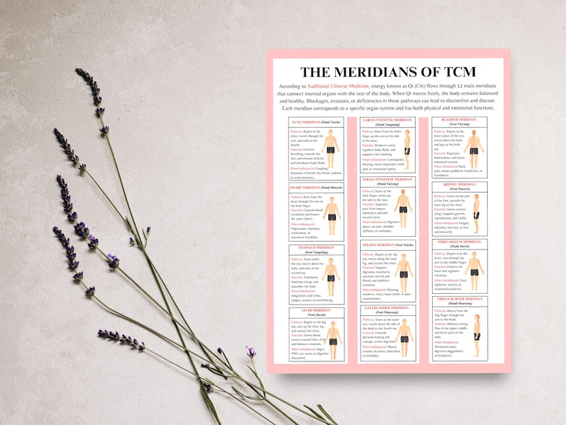 TCM acupressure diagram for study and practice
