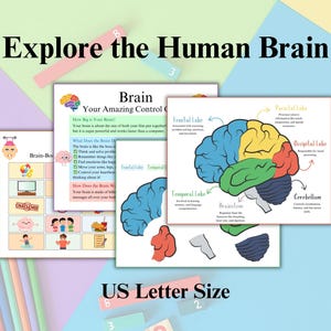 May include: A colorful printable educational chart about the human brain. The chart includes a diagram of the brain with labels for each lobe, including the frontal lobe, temporal lobe, parietal lobe, occipital lobe, cerebellum, and brainstem. The chart also includes text about the brain's amazing control, how big the brain is, and what the brain does. The chart is designed for US letter size.