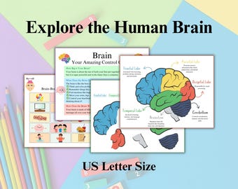 Printable Human Brain Anatomy Activity Pack for Kids, Fun Educational Worksheets for Homeschool & Classroom, Brain Diagram Worksheets