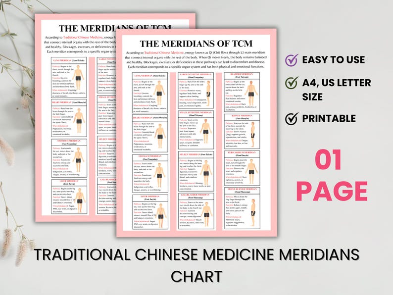 Traditional Chinese Medicine meridians chart digital poster