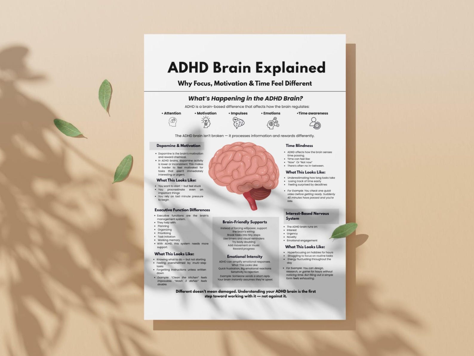 ADHD Brain Explained Cheat Sheet, Neurodiversity Education Printable ...
