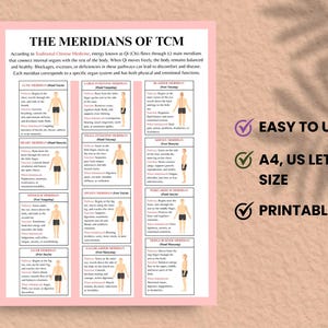 Energy flow poster for Traditional Chinese Medicine study