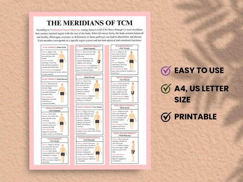 Energy flow poster for Traditional Chinese Medicine study
