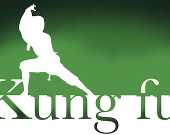 Kung Fu Wall Art – Female Martial Arts Poster – Teen Girl Bedroom Decor – Abstract Sports Print – Unframed Dynamic Artwork – v02
