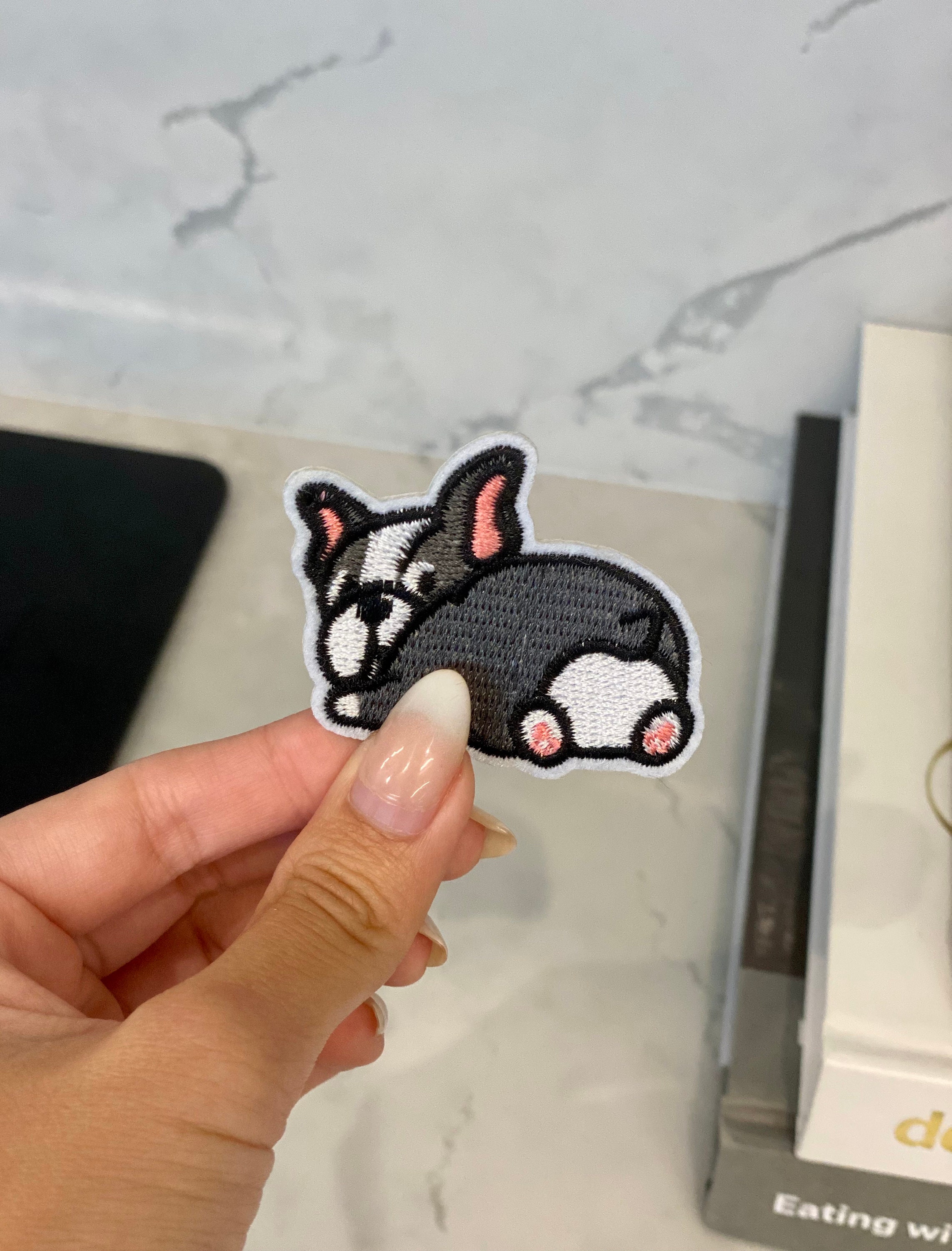 Bulldog Francese Di Razza Ritratto Di Buldog Francese Fotografia Stock - Foto 5