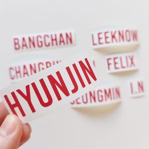 Stray Kids Member Vinyl Decal with Freebie