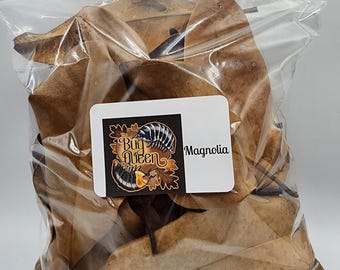 Puede incluir: Una bolsa de plástico transparente resellable llena de hojas de magnolia secas de color marrón. Una etiqueta rectangular blanca está adherida al frente, con el texto "The Bug Queen", una ilustración de dos cochinillas y la palabra "Magnolia".