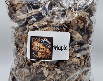 Puede incluir: Una bolsa de plástico transparente llena de hojas de arce secas y marrones. Una etiqueta rectangular blanca está pegada en la parte frontal, con un logotipo que muestra dos cochinillas y el texto "The Bug Queen" sobre la palabra "Maple".