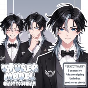 CUSTOM VTUBER MODEL Live2D Commission Full Rigging & Streaming Assets for Twitch, Custom Vtuber Model Live2d Commission, Vtuber Asset, Vtuber female & male, Vtuber model,  Anime Art, Vtuber Model Commission, Pngtuber, Custom VTuber Model Live2D Commission, Anime Art, Vtuber Assets, Vtuber Model Male & Female, Vtuber Model Commission, Custom VTuber Model Live2D Commission, Anime Art, Vtuber Assets, Vtuber Model, PNGTuber, Vtuber Male & Female, Vtuber Model Commission