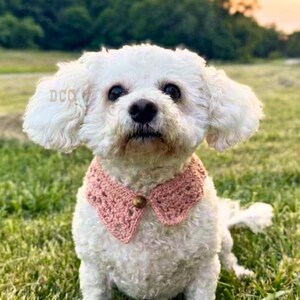 May include: A small white dog with curly fur wearing a dusty pink crocheted collar. The collar features a delicate lace-like pattern and is fastened at the center with a single small brown button. The accessory sits neatly around the dog's neck.
