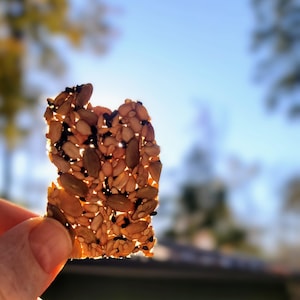 以下が含まれることがあります： かぼちゃの種、ごま、ひまわりの種など、種子で作られた薄くてカリカリのクラッカー。クラッカーは、木々と空のぼやけた背景を背に、手で持たれています。