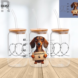 Dachshund Dog 16 Oz Libbey Glass Can Wrap Png Sublimation Digital Instant Download, Cartoon Libbey Png, Glass Cup, Coffee Cup, Glass Jar