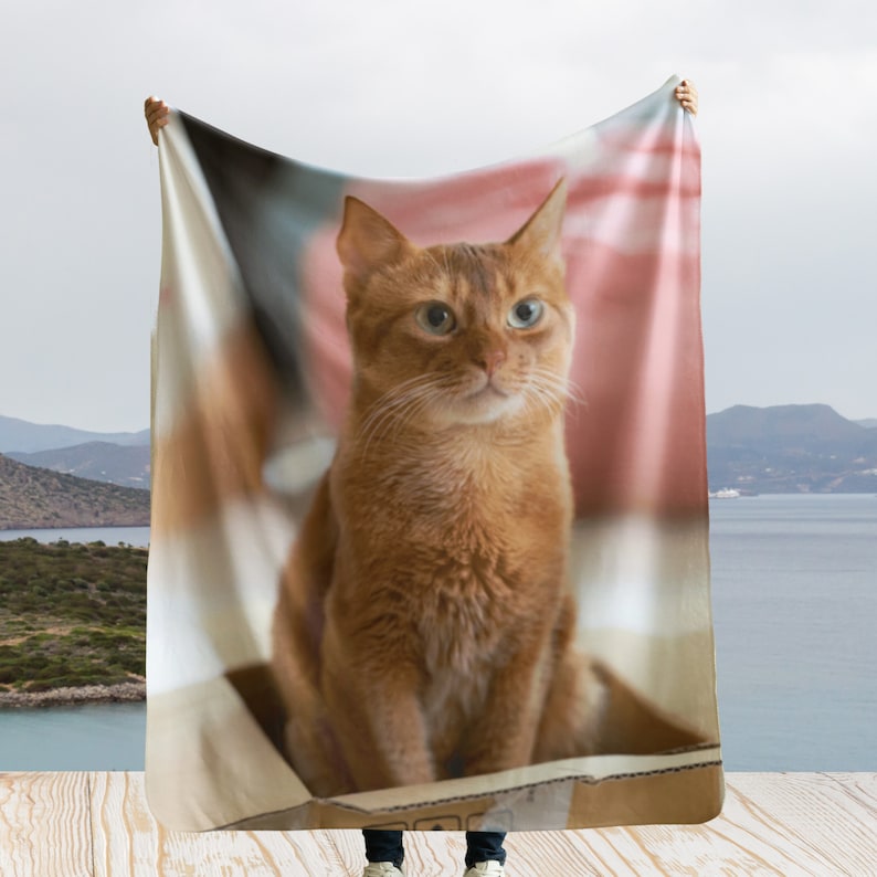 May include: A soft, plush fleece blanket featuring a close-up image of a ginger cat with blue eyes sitting in a cardboard box. The background is a blurred image of a pink and blue sky.